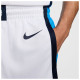 Nike Ανδρικό σορτς Greece 24 Limited Home Shorts